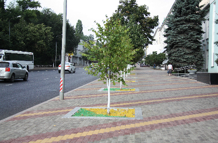 В Липецке продолжается озеленение обновленных магистралей