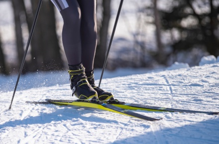 Липчан приглашают принять участие в новогодней лыжной гонке