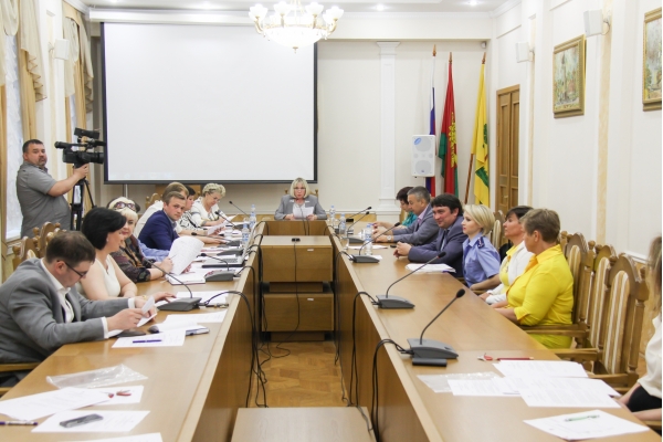 В минувшем году депутаты вскрыли многомилионные хищения