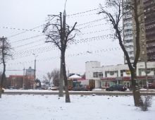 В областном центре приводят в порядок зеленые насаждения