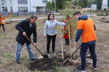 Депутаты Липецкого горсовета поддержали создание нового общественного пространства в поселке Матырский