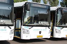 Новые автобусы с пометкой «Т» ходят по троллейбусным маршрутам