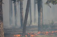 Пожароопасный сезон в регионе объявлен с 10 апреля
