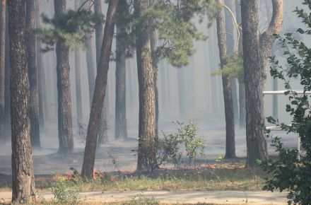 Липчан предупреждают: в жару возрастают риски возникновения пожаров