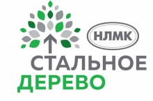Волонтерскую программу НЛМК «Стальное дерево» отметили на всероссийском конкурсе