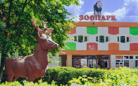 Липецкий зоопарк в прошлом году посетили более 240 тысяч липчан и гостей города
