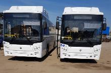 Частные перевозчики Липецка приступили к обновлению автобусного парка