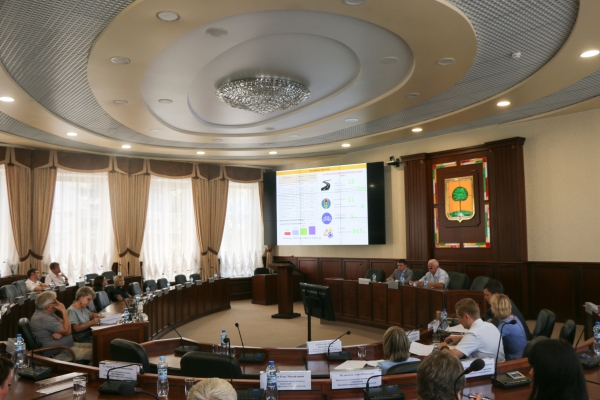 Депутаты горсовета поддержали инициативу мэрии по разработке программы ремонта муниципальных дорог 