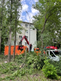Активисты Клуба городского жителя помогают приводить зеленые насаждения в порядок