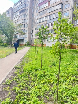 Неделя с депутатами горсовета: деревья на месте, дорожки — почти, а соседи на подходе