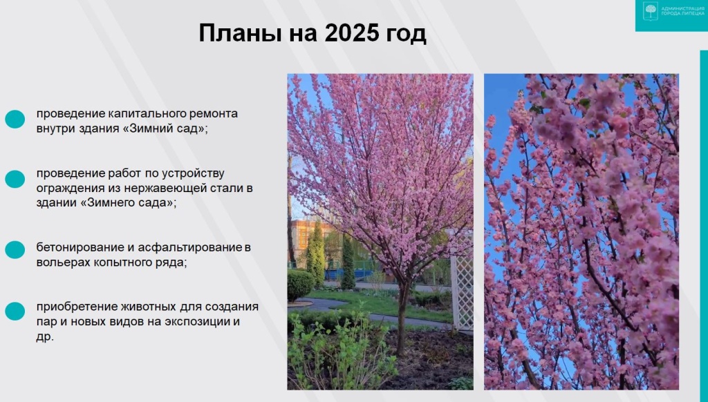 Снимок 2.JPG
