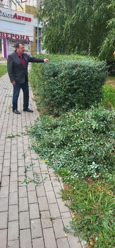 шкарин.jpg шкарин.jpg